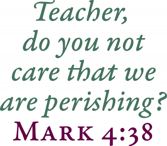 Teacher Do You Not Care That We Are Perishing